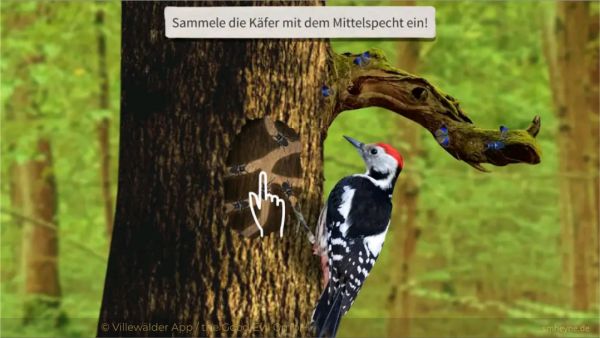 Villewälder – in Game Screenshot: Woodpecker